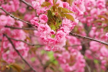 杭州滨江区线下个人借款平台一站式服务，轻松解决资金难题
