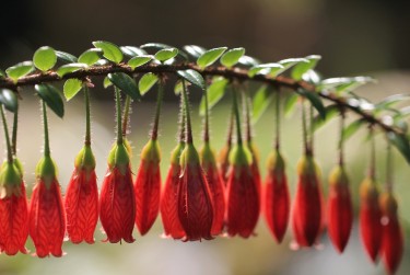 杭州滨江区零用贷短借：轻松解决临时资金需求