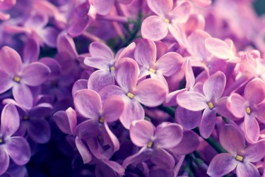 杭州滨江区企业急用钱贷款攻略：快速融资解燃眉之急